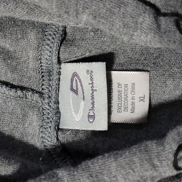 WOMEN'S CHAMPION HOODIE - Picture 5 of 8